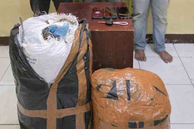 Polda Sumut sita 20 kg ganja
