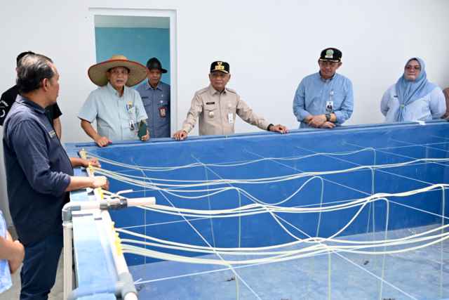 Foto Wagub Sumut Tinjau UPTD Budidaya Ikan Air Payau dan Laut Sialang Buah 1.jpg Wakil Gubernur Sumatera Utara Surya bersama Pj Sekretaris Daerah Provinsi Sumut Sulaiman Harahap meninjau Unit Pelaksana Teknis Daerah (UPTD) Budidaya Ikan Air Payau dan Laut (BIAPAL) di Desa Pekan Sialang Buah, Kecamatan Teluk Mengkudu, Kabupaten Serdangbedagai, Selasa (12/5/2026).